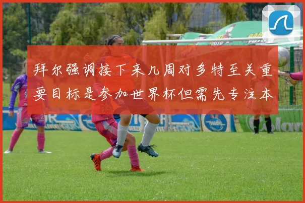 拜尔强调接下来几周对多特至关重要目标是参加世界杯但需先专注本赛季表现