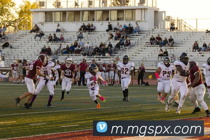 芒果体育APP 封面图